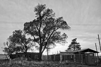 DSC_3711v1.nef