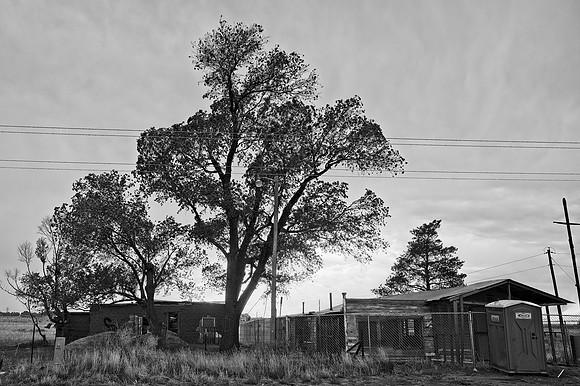 DSC_3711v1.nef