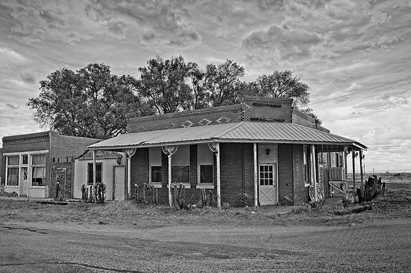 DSC_3600v1.nef
