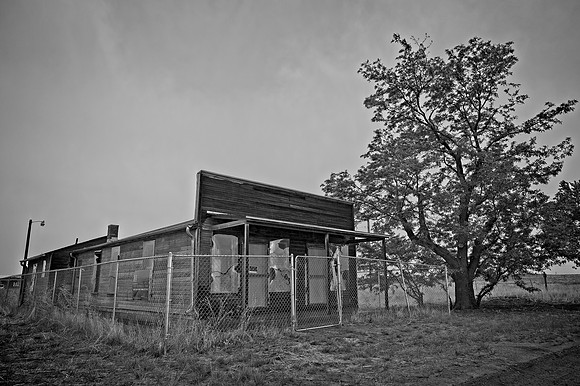 DSC_3654v1.nef