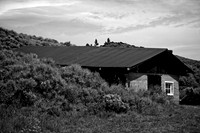 20210910DSC_2359