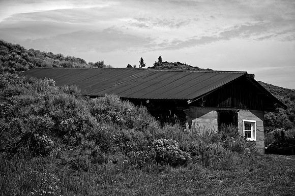 20210910DSC_2359