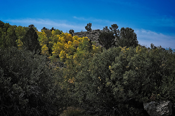 20210910DSC_2472