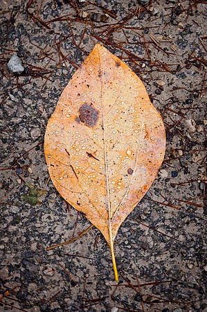 20231016DSC_6882-Enhanced-NR