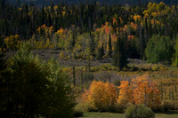 20210925DSC_2910