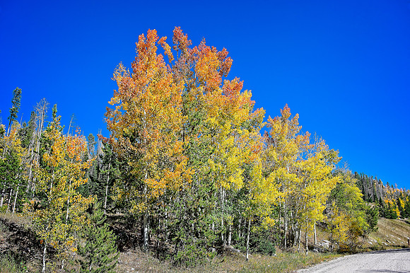 20210925DSC_2935