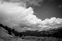 DSC_3810 copy copy