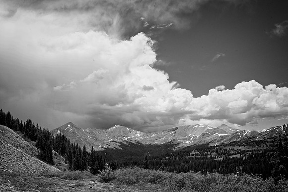 DSC_3810 copy copy