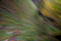 20231016DSC_6868-Enhanced-NR