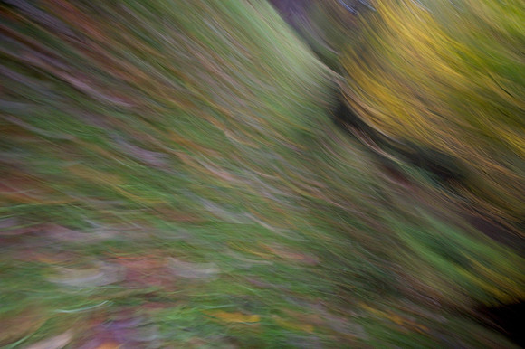 20231016DSC_6868-Enhanced-NR