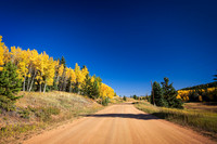 20251002DSC_1729-Edit