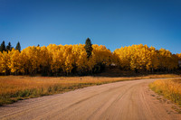 20251002DSC_1681-Edit