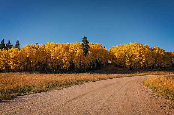 20251002DSC_1681-Edit
