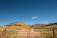 20251002DSC_2387-Edit