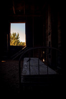 20251002DSC_1975-Edit