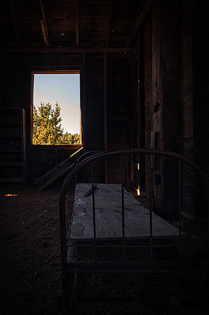 20251002DSC_1975-Edit