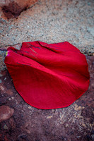 20251002DSC_1565-Edit