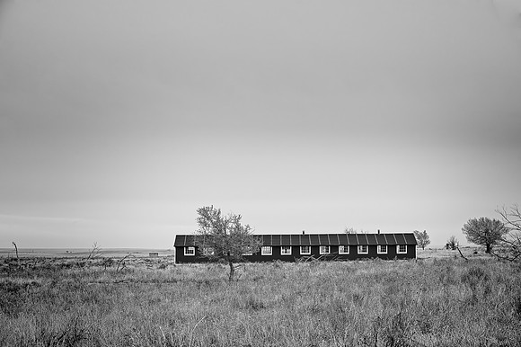 DSC_2543