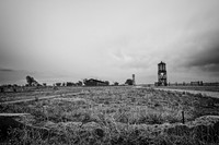 DSC_2561