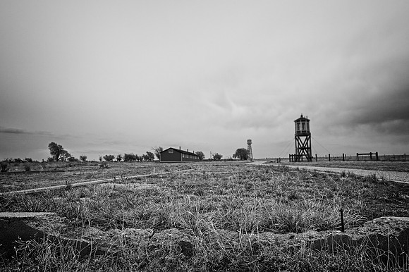 DSC_2561
