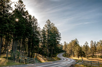 Custer State Park Morning
