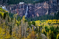 Fall Splendor
