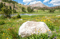 Snowy Range Summer
