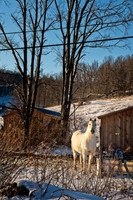 2019030820190308DSC_2488 copy-2