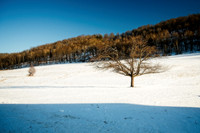 2019030820190308DSC_2293 copy-2