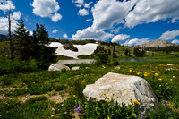 Snowy Range Scene