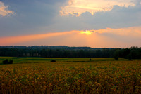 Macedon Sunset